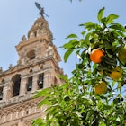 1808216402
Orange tree with Giralda tower of Seville Cathedral at background, Spain
aerial, catholic, citrus, orange, religious, stone, andalucia, building, center, famous, gothic, heritage, historic, landmark, palm, saint, sevilla, spanish, square, temple
Orange tree with Giralda tower of Seville Cathedral at background, Spain - stock photo
Orange tree with Giralda tower of Seville Cathedral at background, Spain