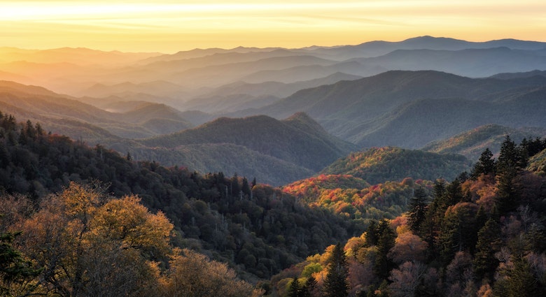 Dramatic evening light looking out across the Great Smoky Mountains from along the Blue Ridge Parkway in North Carolina
2148953005
amazing, appalachian, autumn, beaming, cherokee, clouds, creation, epic, expansive, fall, glow, god, land, landscape, layers, light, mountains, nature, panoramic, parkway, peaks, rays, ridges, scenery, scenic, sky, smokies, sun, sunrise, sunset, tennessee, valley, vast, view, vista, all encompassing, blue ridge, no people, north carolina, smoky mountains, Fir, Land, Mountain, Mountain Range, Nature, Outdoors, Scenery, Sky, Tree, Vegetation, Wilderness, Woodland
Dramatic evening light looking out across the Great Smoky Mountains from along the Blue Ridge Parkway in North Carolina